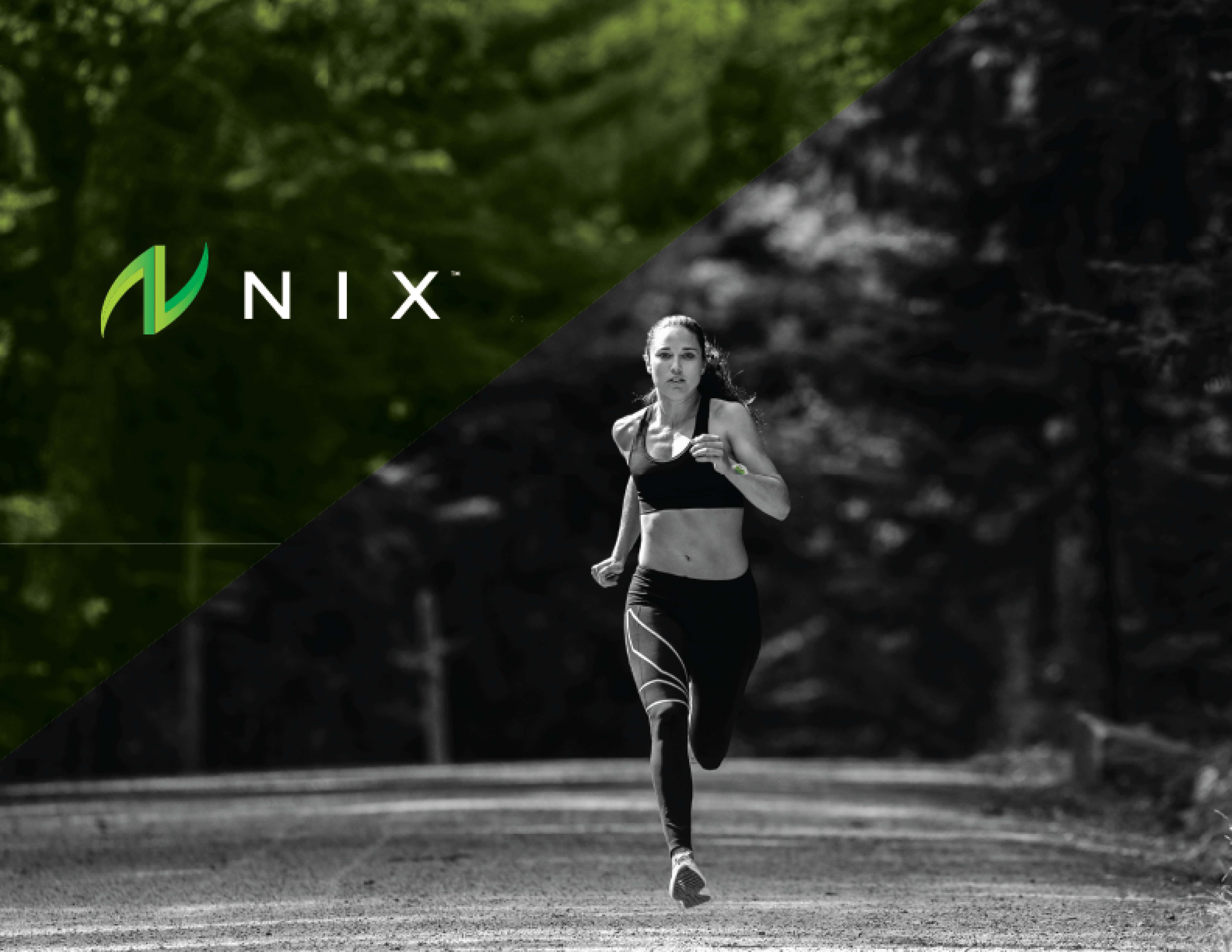 nix hero section