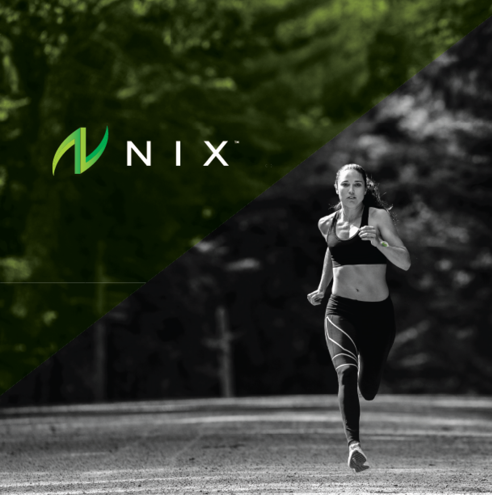 nix hero section